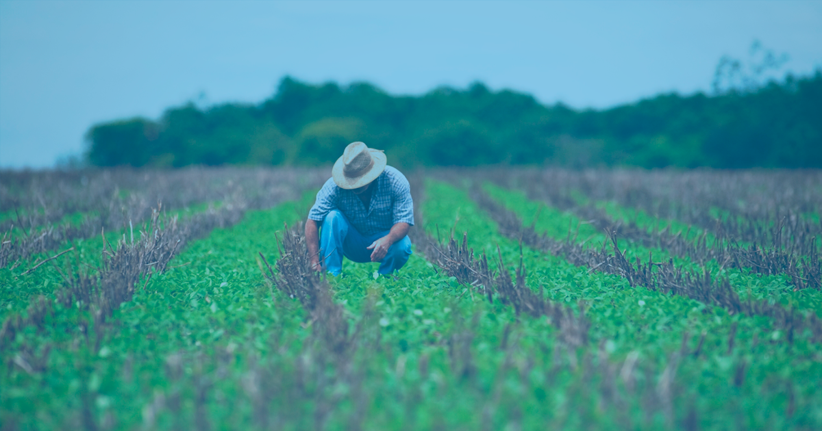 nota-fiscal-produtor-rural